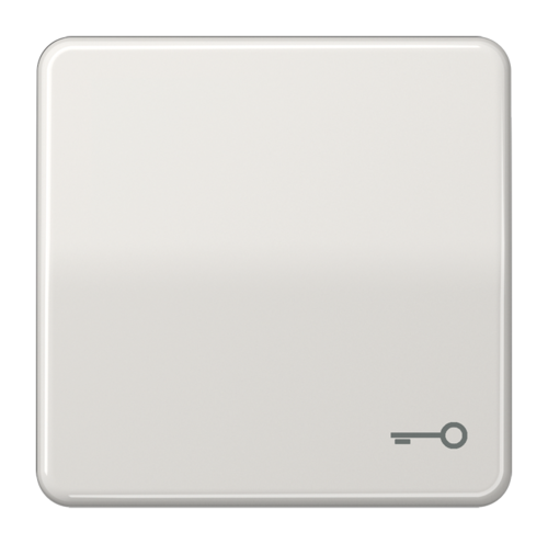 Клавиша JUNG CD 500, светло-серый