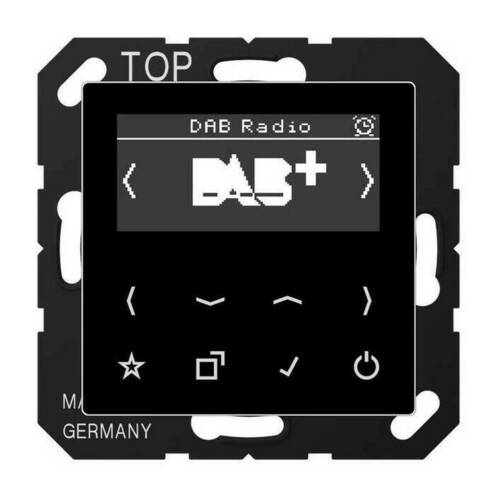 Цифровое радио Jung А-СЕРИЯ, с дисплеем, электронный, черный, DABASW