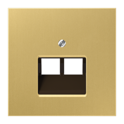 Накладка на розетку информационную JUNG LS METAL, латунь