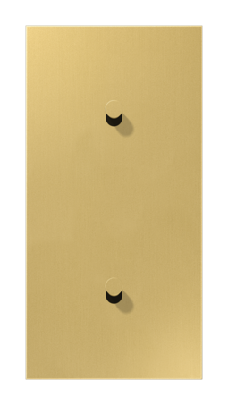 Накладка тумблера JUNG LS1912, латунь